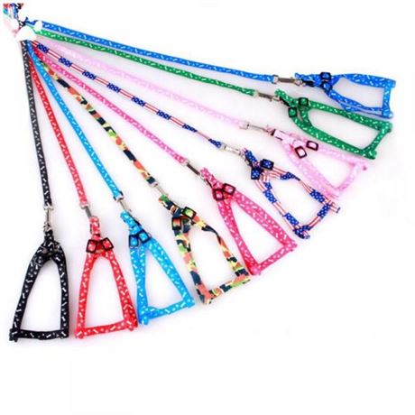 144 New Leashes, Collars, Toys for Dogs & Cats - MSRP $2,200