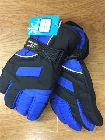 36 Men's Ski Gloves